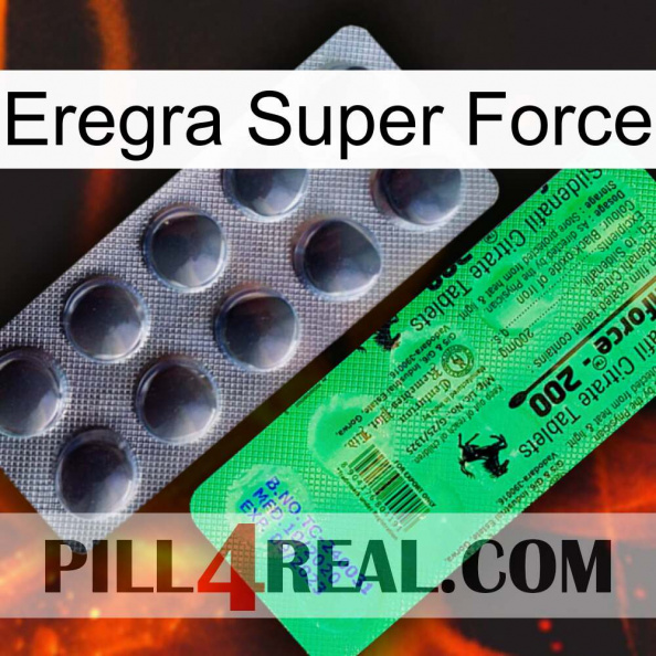 Eregra Super Force new04.jpg